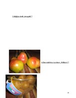 Referāts 'Ģenētiski modificēti produkti', 24.