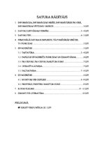 Referāts 'Dators mūsdienās', 2.