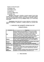 Referāts 'Dators mūsdienās', 6.