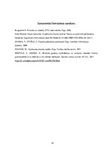 Prakses atskaite 'Prakses atskaite grāmatvedībā', 29.