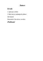 Referāts 'Darba motivācija', 2.