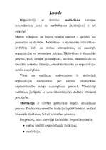 Referāts 'Darba motivācija', 3.