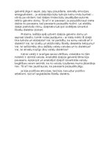 Eseja 'H.Lāksonenas “Lieldenbild” dzejoļa analīze', 2.