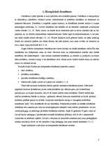 Referāts 'Domāšanas attīstības iespējas skolā', 4.