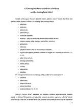 Referāts 'Domāšanas attīstības iespējas skolā', 8.