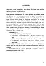 Referāts 'Domāšanas attīstības iespējas skolā', 29.