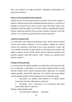 Referāts 'Drošības noteikumi kokapstrādē', 20.