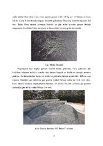 Referāts 'Atskaites referāts par ekskursiju uz betona ražotni', 7.