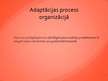 Prezentācija 'Darbinieku adaptācija', 13.
