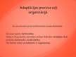 Prezentācija 'Darbinieku adaptācija', 14.