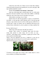 Konspekts 'Dārza puķes un istabas augi', 3.