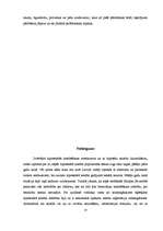 Referāts 'Hipotēka', 14.