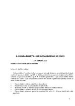 Referāts 'Cukura diabēts', 9.