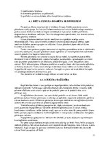 Referāts 'Cukura diabēts', 13.