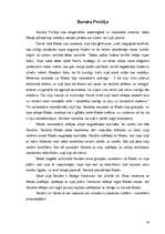 Referāts 'Sieviešu tēli Teodora Dreizera romānā "Amerikāņu traģēdija"', 14.