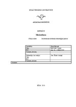 Referāts 'Сварка', 1.