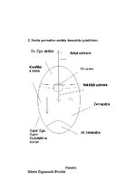 Referāts 'Psihoanalīze', 4.