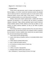 Referāts 'Investīciju avoti un to izmantošanas efektivitāte', 21.