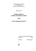 Eseja 'Valsts ieņēmumu dienests', 1.
