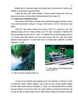 Referāts 'Mazo hidroelektrostaciju ietekme uz vidi', 24.