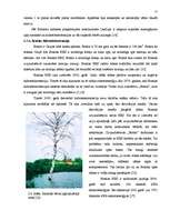 Referāts 'Mazo hidroelektrostaciju ietekme uz vidi', 25.