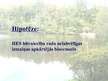 Referāts 'Mazo hidroelektrostaciju ietekme uz vidi', 45.