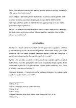 Referāts 'Pedagoģijas ideju vēsture', 4.