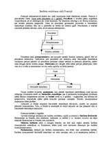 Konspekts 'Budžeta veidošanas cikls Francijā', 1.