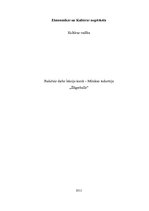 Biznesa plāns 'Šlāgerballes Limbažos organizēšana', 1.