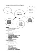 Biznesa plāns 'Šlāgerballes Limbažos organizēšana', 4.