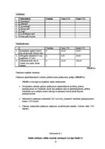 Biznesa plāns 'Šlāgerballes Limbažos organizēšana', 10.