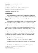 Biznesa plāns 'Biznesa plāns "King of Pets"', 7.