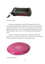 Biznesa plāns 'Biznesa plāns "King of Pets"', 17.