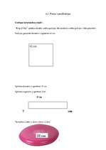 Biznesa plāns 'Biznesa plāns "King of Pets"', 20.