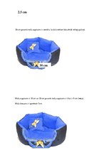 Biznesa plāns 'Biznesa plāns "King of Pets"', 21.