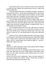 Referāts 'Krāsu nozīme un tās atspoguļojums jaunākās paaudzes dzejnieku - E.Raupa un K.Vēr', 3.