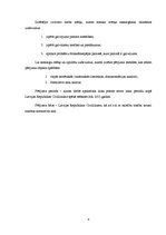 Referāts 'Galvojums', 4.