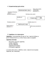 Konspekts 'Atkārtojuma jautājumi "Ekonomikas pamati"', 2.