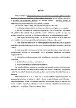 Referāts 'Digitālās komercijas stratēģija', 4.