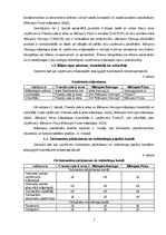 Referāts 'Digitālās komercijas stratēģija', 7.