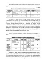 Referāts 'Digitālās komercijas stratēģija', 18.