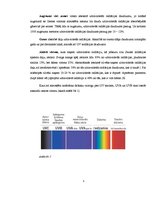 Referāts 'UV staru ietekme uz cilvēka ādu un organismu', 3.