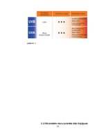 Referāts 'UV staru ietekme uz cilvēka ādu un organismu', 9.