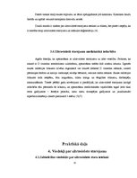 Referāts 'UV staru ietekme uz cilvēka ādu un organismu', 13.