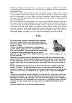 Referāts 'Latvijas plēsīgie putni', 2.