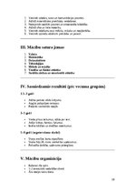 Biznesa plāns 'Biznesa plāns privātbērnudārza atvēršanai', 10.