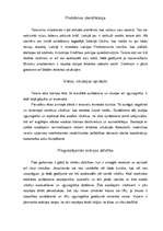 Eseja 'Terora akti', 2.