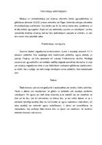 Eseja 'Terora akti', 3.