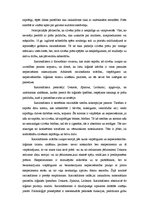 Konspekts 'Dalītā Eiropa un Eiropas identitāte: individuālisms un racionālisms', 2.