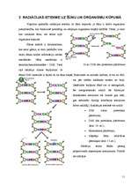 Referāts 'Radiācija un tās izmantojums medicīnā', 11.